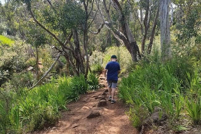 Whistlepipe Gully Trailhead - Forrestfield Whistlepipe Gully Trailhead - Forrestfield